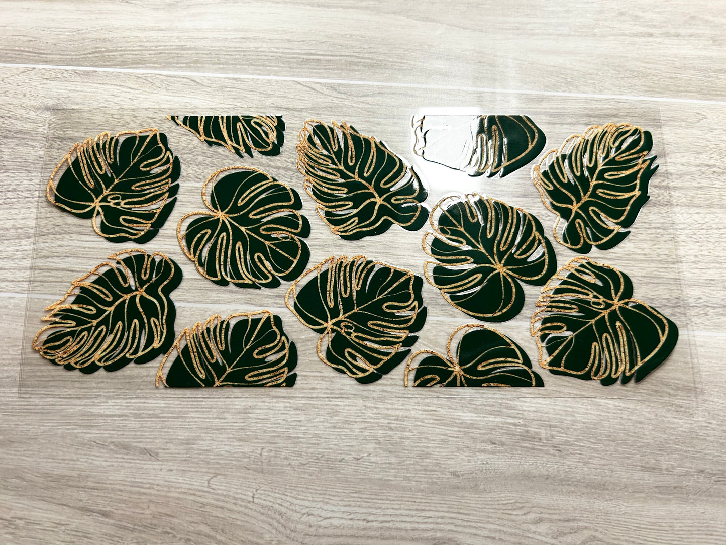 Golden Monstera