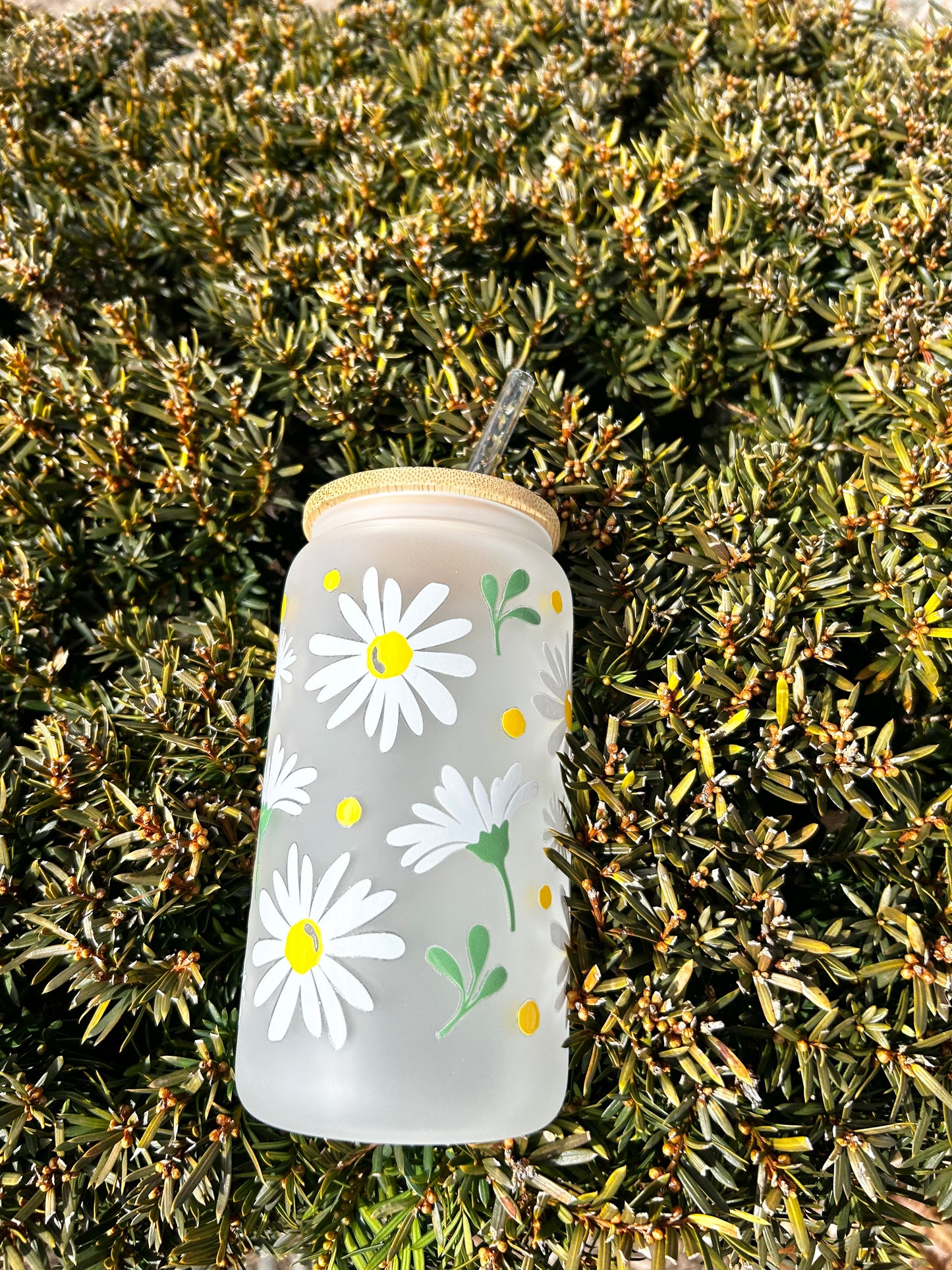 Daisies
