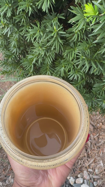 Ice Coffee Anyone